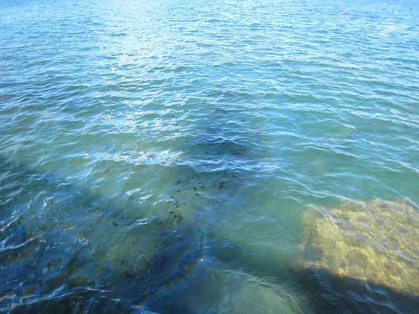 592453340_5HGU6-M.jpg
