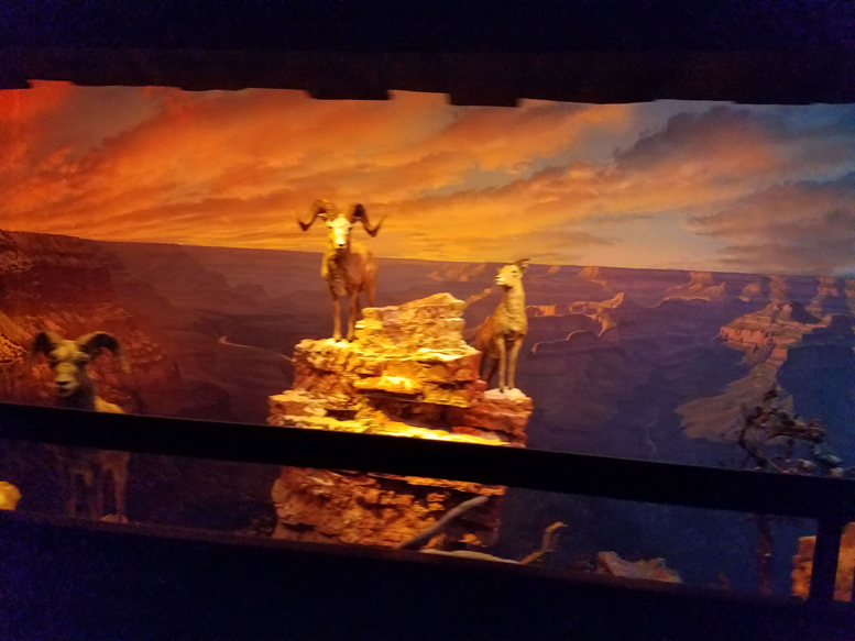 Disney2017_0069.jpg