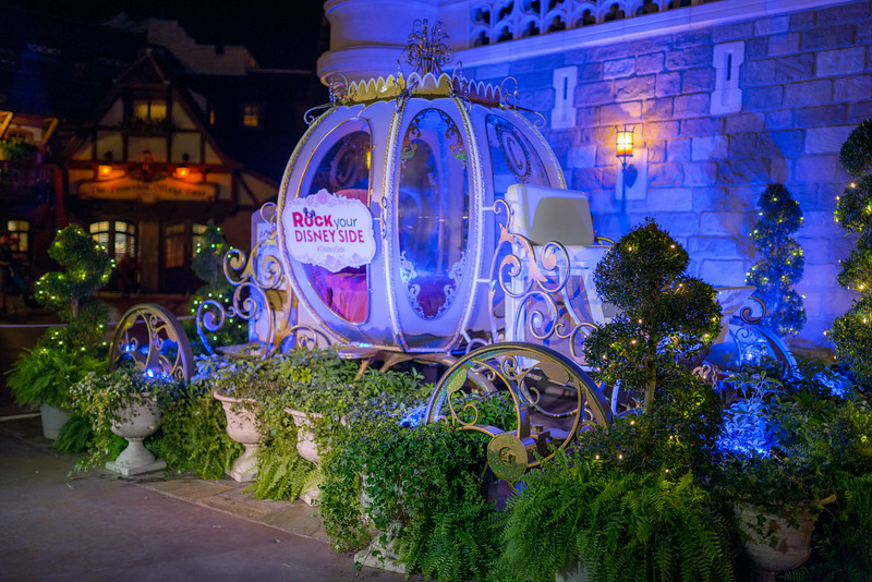 DSC_5904-L.jpg