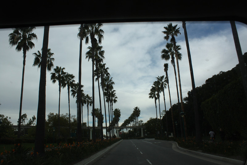IMG0787-L.jpg