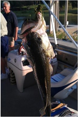fishin1a.jpg