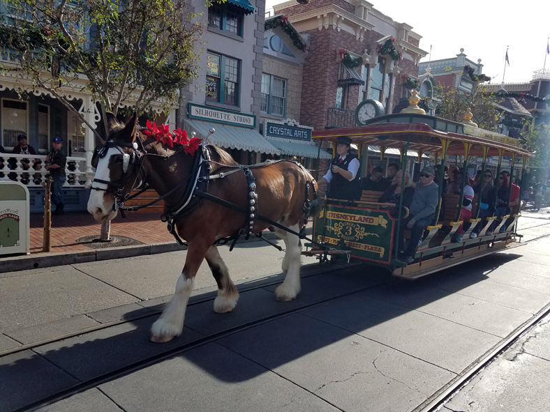 Disney2017_0688.jpg