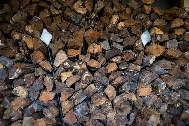 DSC_1353-L.jpg