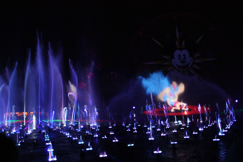 IMG0467-L.jpg
