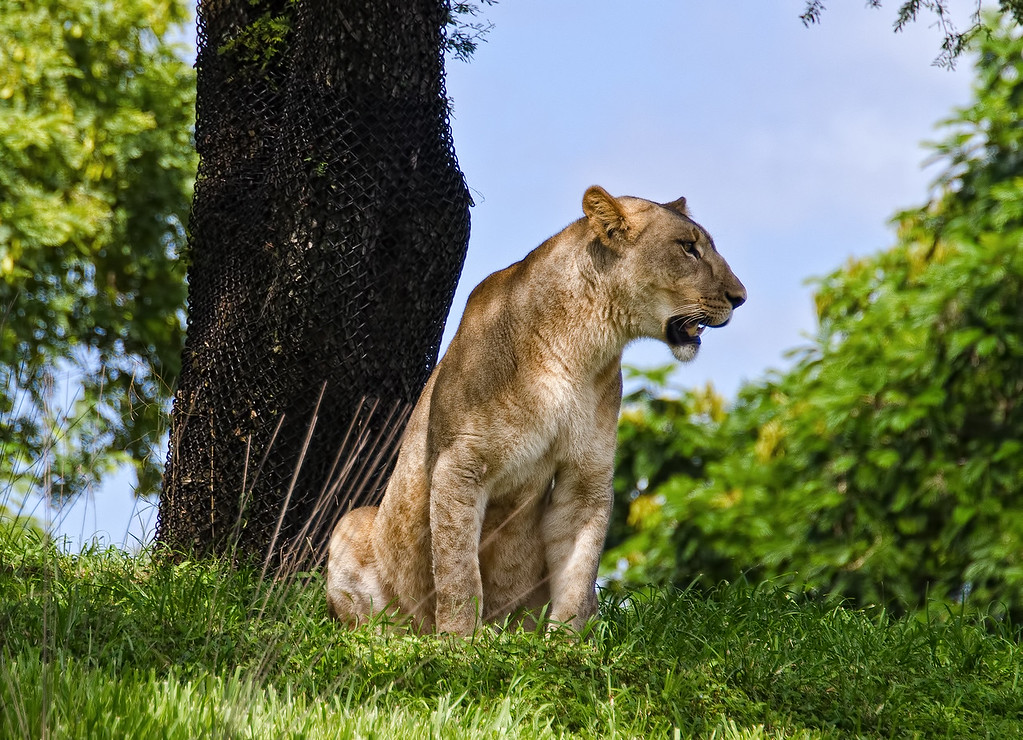 DSC_2607-XL.jpg