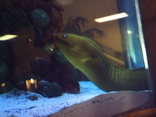 PICT0006.JPG