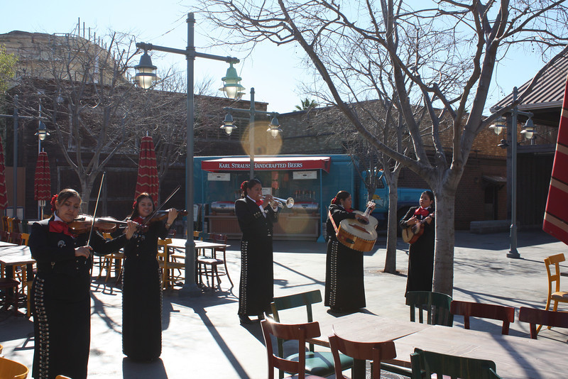 IMG9895-L.jpg