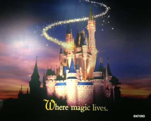 disneys-earport-castle-with-pixie-dust.jpg