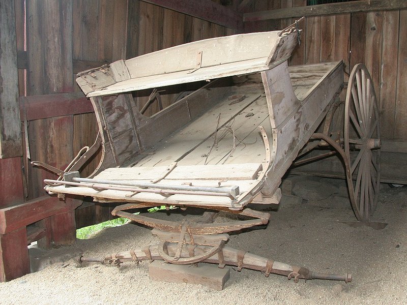 wag11_5413a.jpg