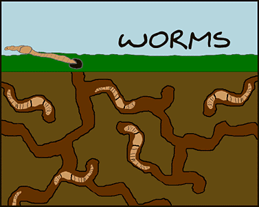 wormslrg.gif