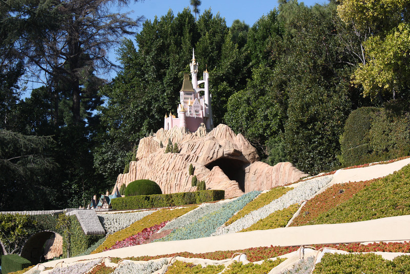 IMG9316-L.jpg