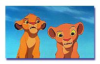 simba3.jpg