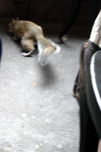 4446105547_6523d02012.jpg