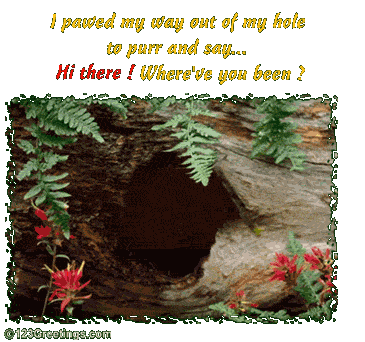 1035-006-26-1046.gif