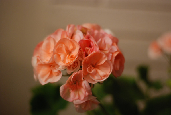 406348305_UVS6L-M.jpg