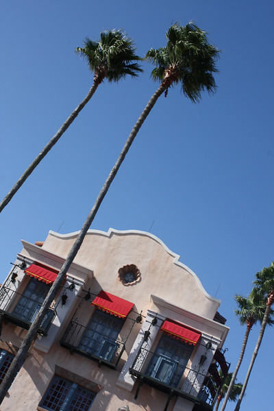 1213013357_mD2nd-L.jpg