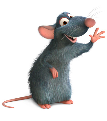 remy.jpg