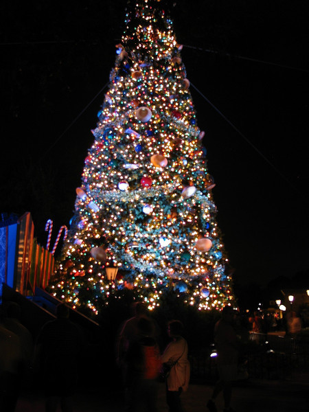 IMG_6385ed-L.jpg
