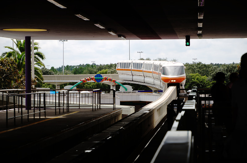 DSC6118-L.jpg