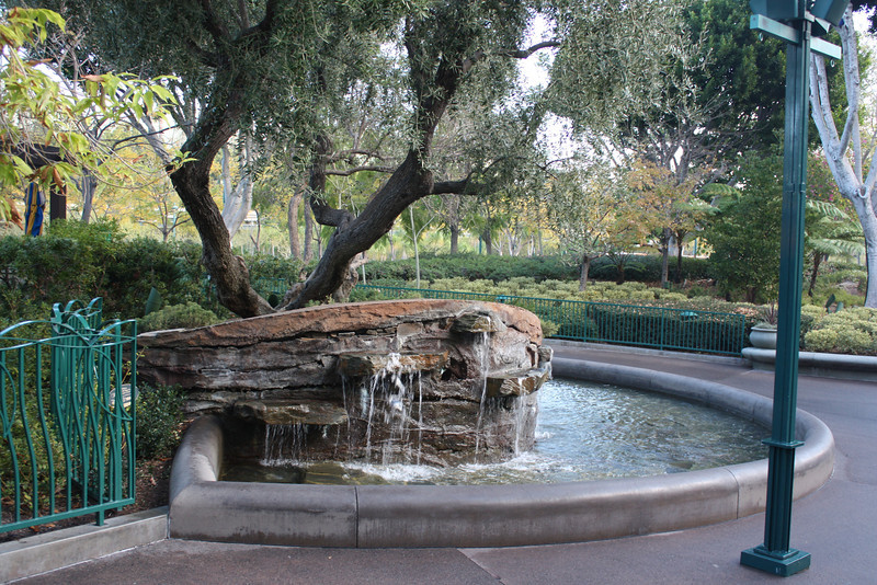 IMG9120-L.jpg