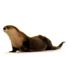 tumblr_m7n4tiMNPs1r273rv.gif
