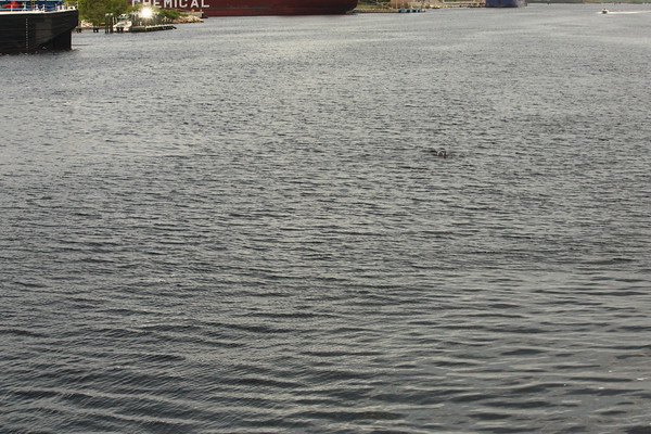 600510490_TEjnB-M.jpg