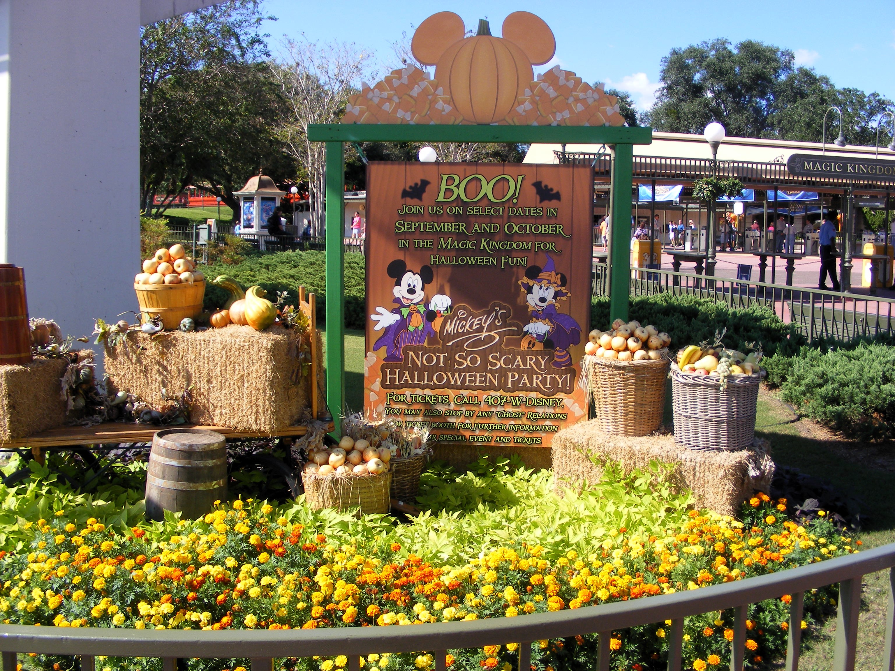 DSCF5226.jpg