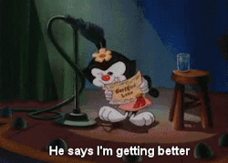 tumblr_lp1x65hT3g1qkj77do16_r1_250.gif