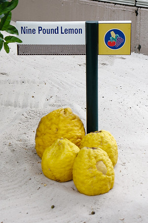 1174513990_pVxxZ-M.jpg