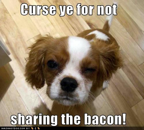 funny-dog-pictures-sharing-bacon.jpg