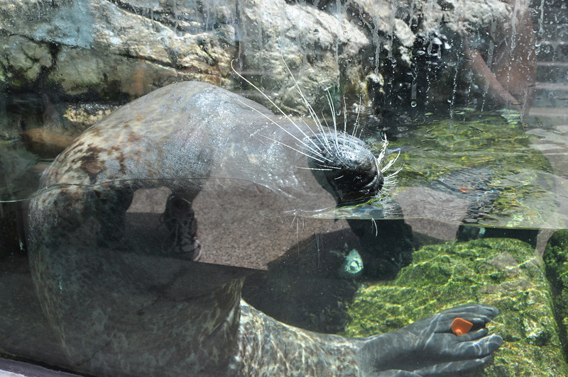 600343590_fqFUS-L.jpg