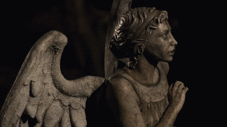 tumblr_lk8mc0QgZs1qg5fyl.gif