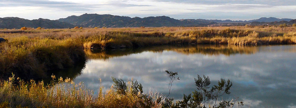 Imperial_national_wildlife_refuge.jpg