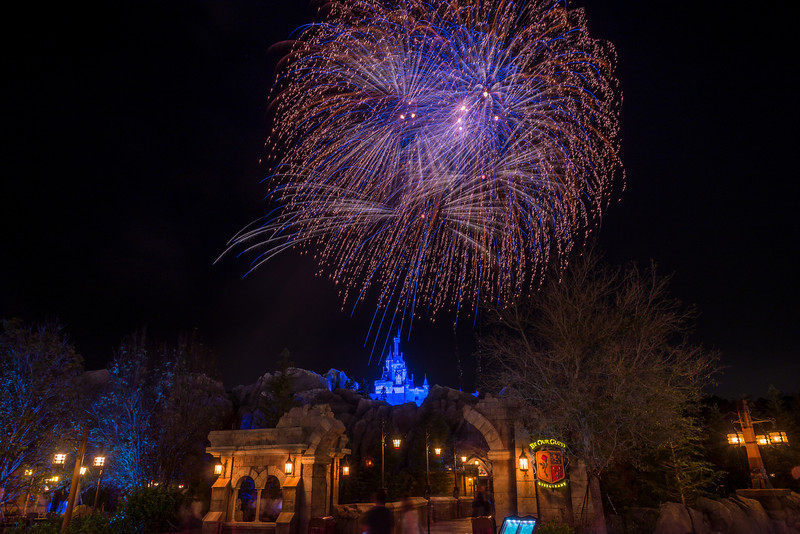 DSC_7457-L.jpg