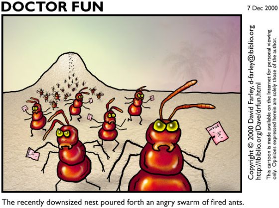 FiredAnts.jpg