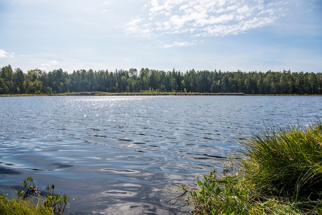 blue-water-forest-lake-with-pine-trees_136559-297.jpg