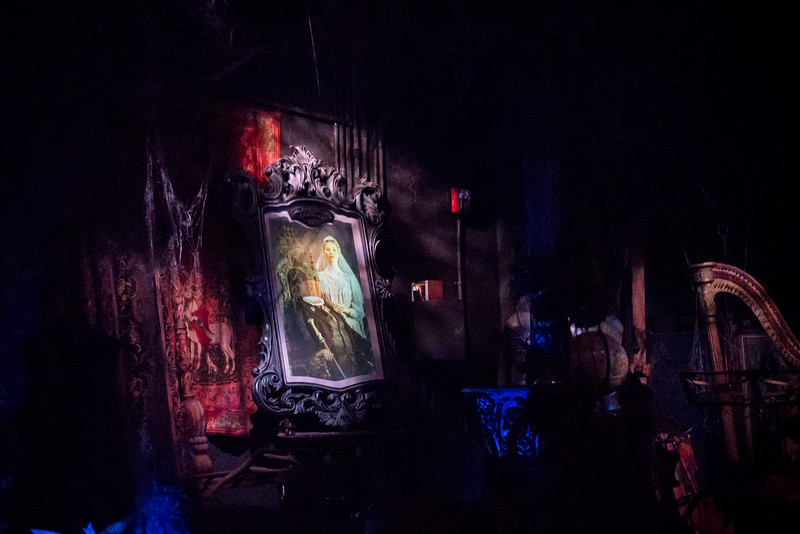DSC_0521-L.jpg