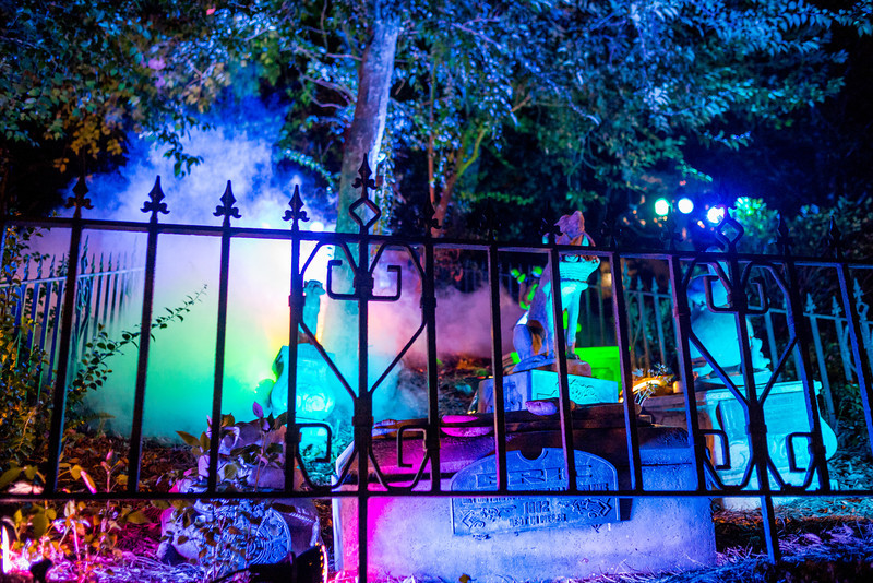 DSC_1253-L.jpg
