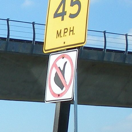 2578324039_9b1fe02813.jpg
