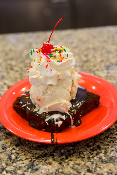 DSC_0341-L.jpg