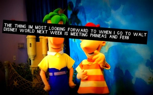 tumblr_lq4kzsRhY41r1cwrdo1_500.jpg