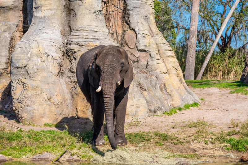 DSC_7942-L.jpg