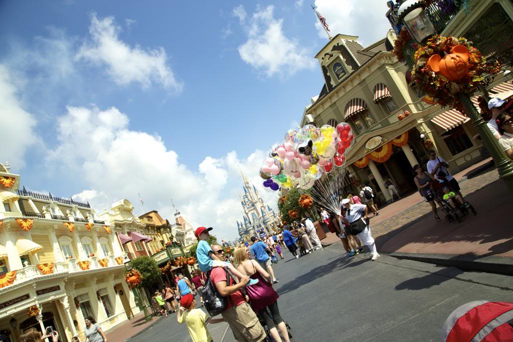 IMG_1762_zps711271ad.jpg