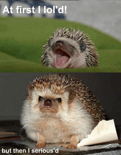 tumblr_ln9i9j5nBO1qcnhobo1_400.jpg