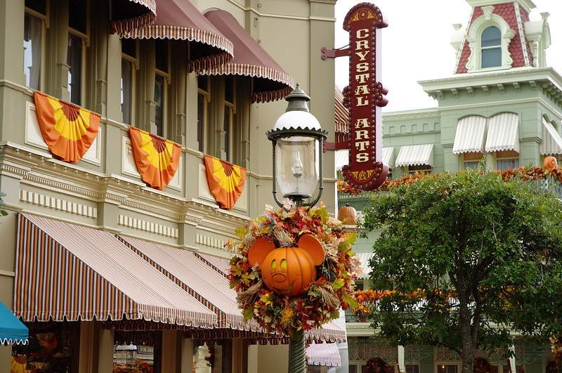 DSC7627-L.jpg