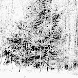 Jan08.jpg