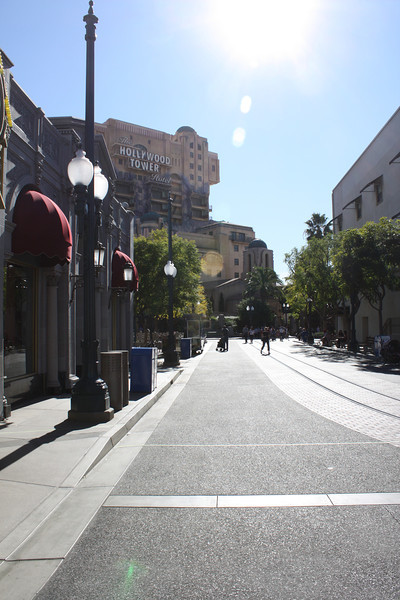 IMG0042-L.jpg