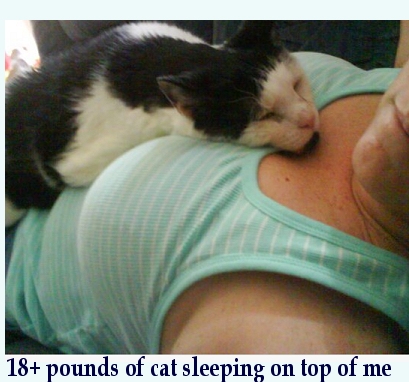 micksleep.jpg