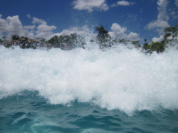 p350342881-3.jpg