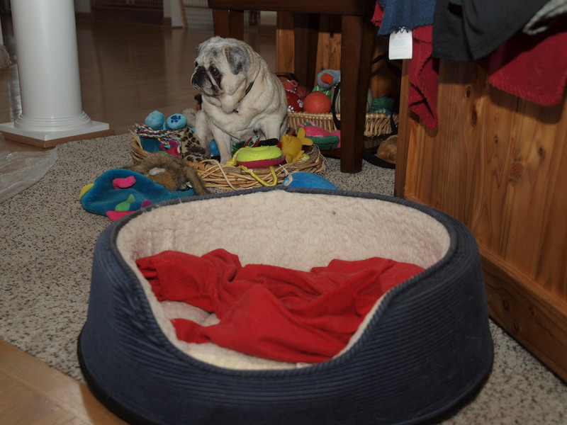 Easter2011-4248351-L.jpg